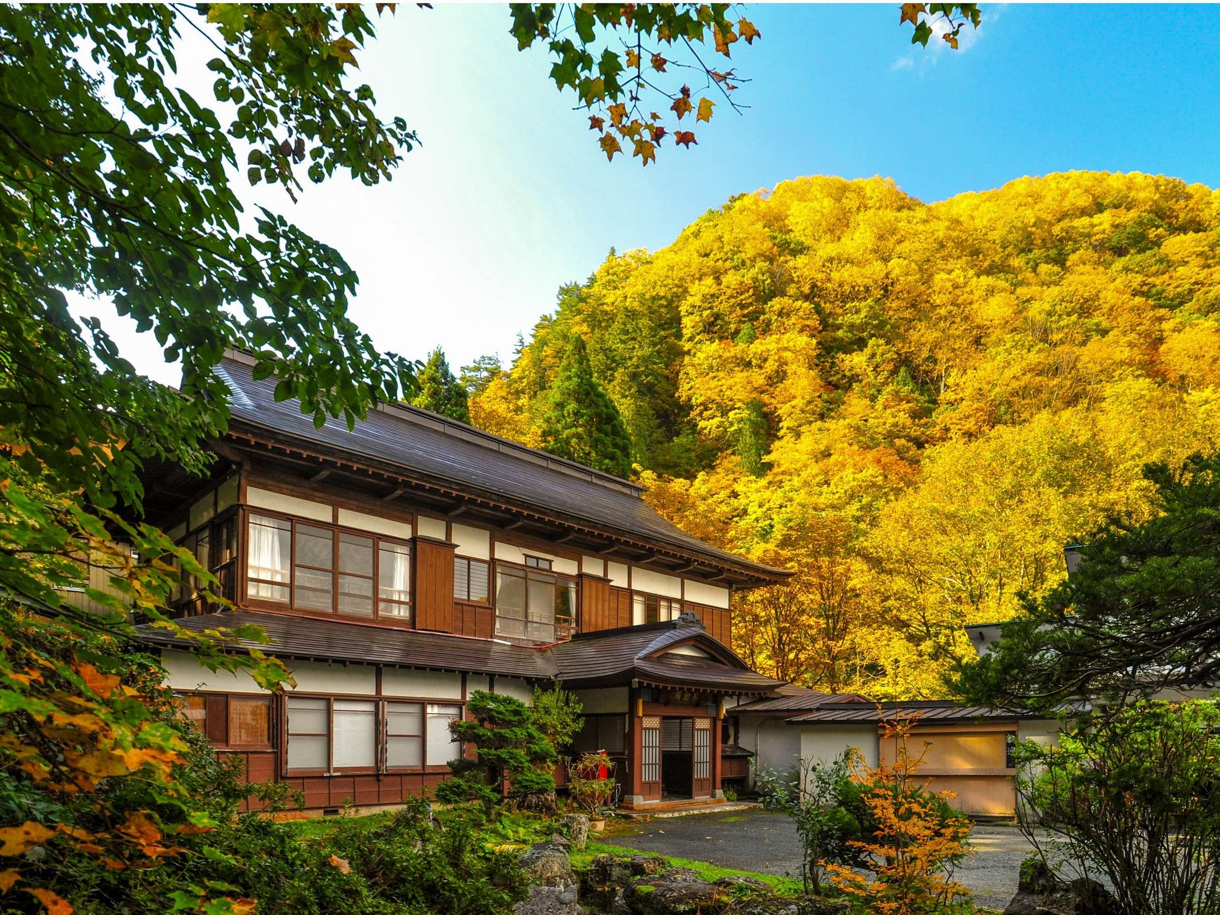 yz̏HzkJԉfG߁BSƂ߂gtAzłB