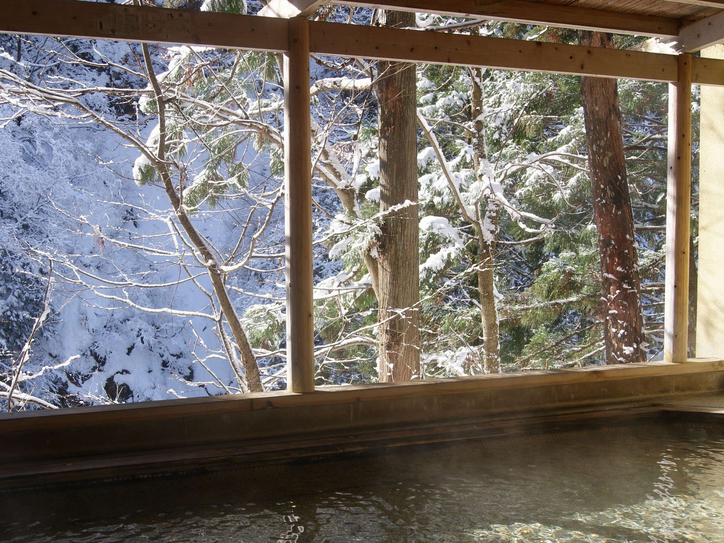 �y�I�V���C�z����̌b�݂Ɛ�i�F�B�܊��Ŋ�����~�̔��z����B