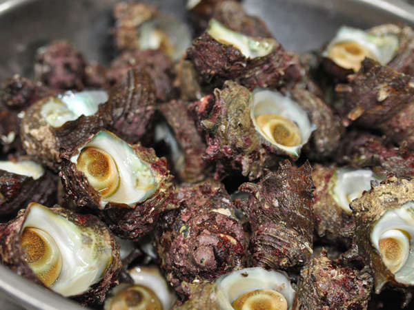 �ڂ̑O�͓��{�C�I���I�����{��������o�����܂��B