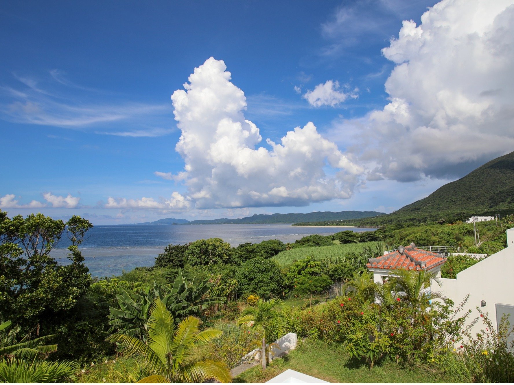 �e���X�b�I�[�V�����r���[�A�}�E���e���r���[�ǂ�����y���߂܂�