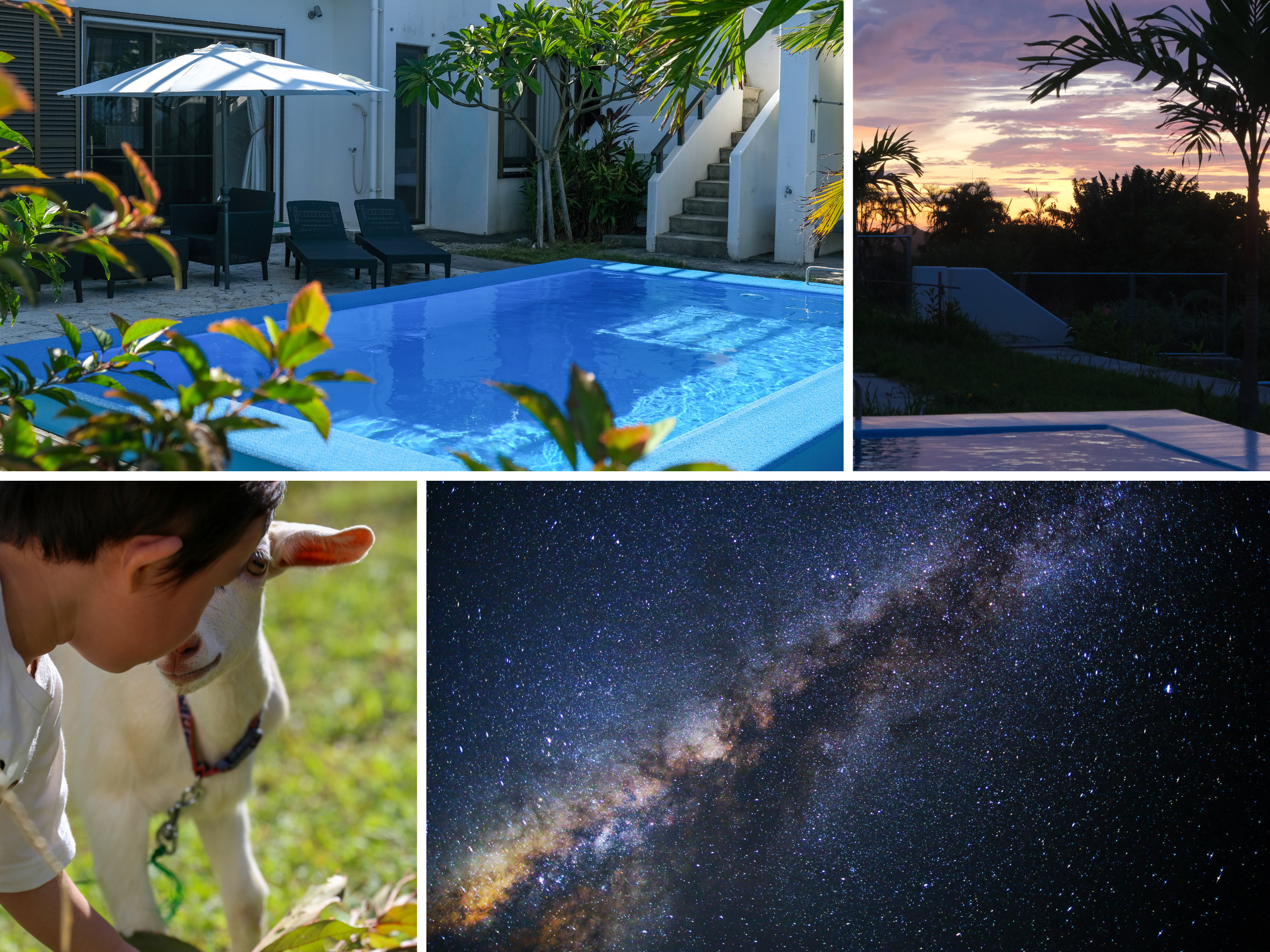 ���B������̕��i�ƃ��M�Ƃ̐G�ꍇ���̗l�q