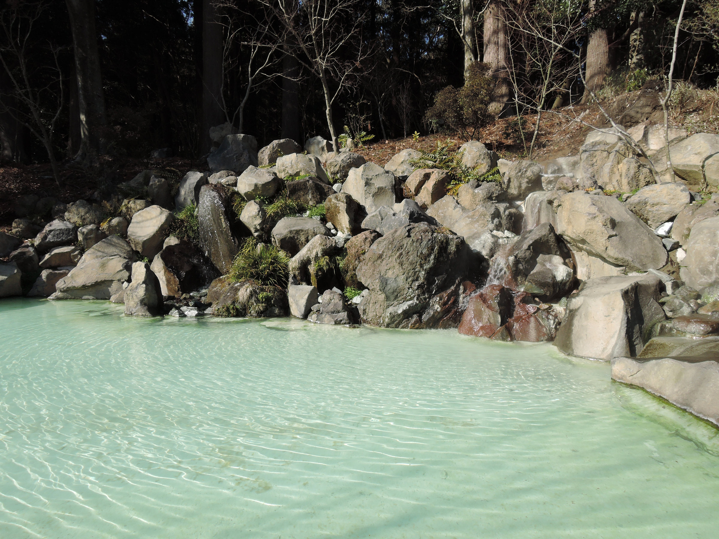 *�y�����_�{�z����r�͌��Ă��邾���łق������