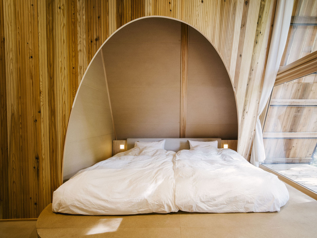 �x�b�h���[��