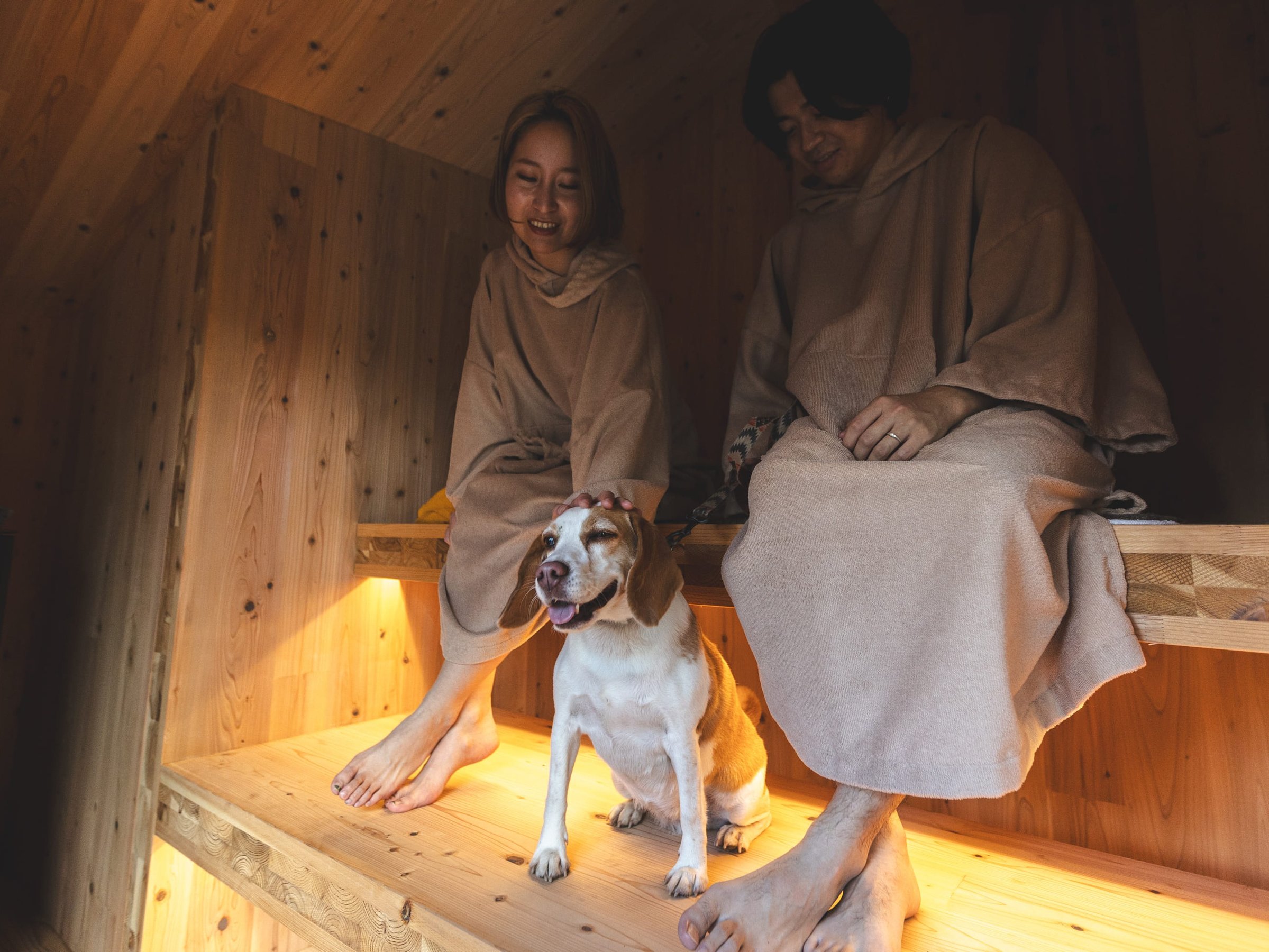 �S���v���C�x�[�g�d�T�E�i�t��