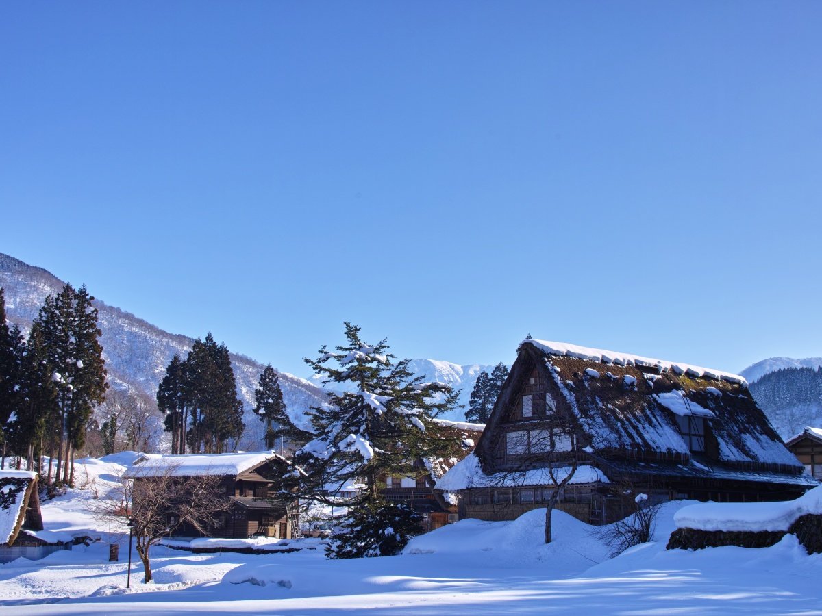 �y���Ӂz���E��Y�@�u���q�E�����̍�������v 