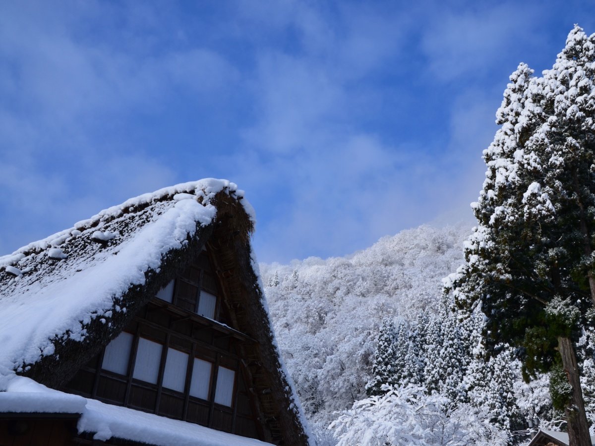 EYAuqWv uWv̒ԂɈʒu铖فBANZX