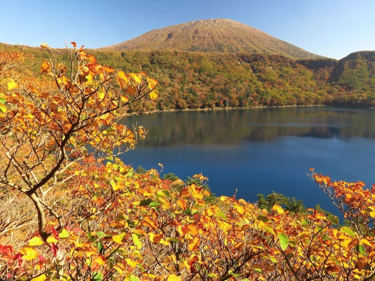 y@gtz10{납gtʂn߂܂