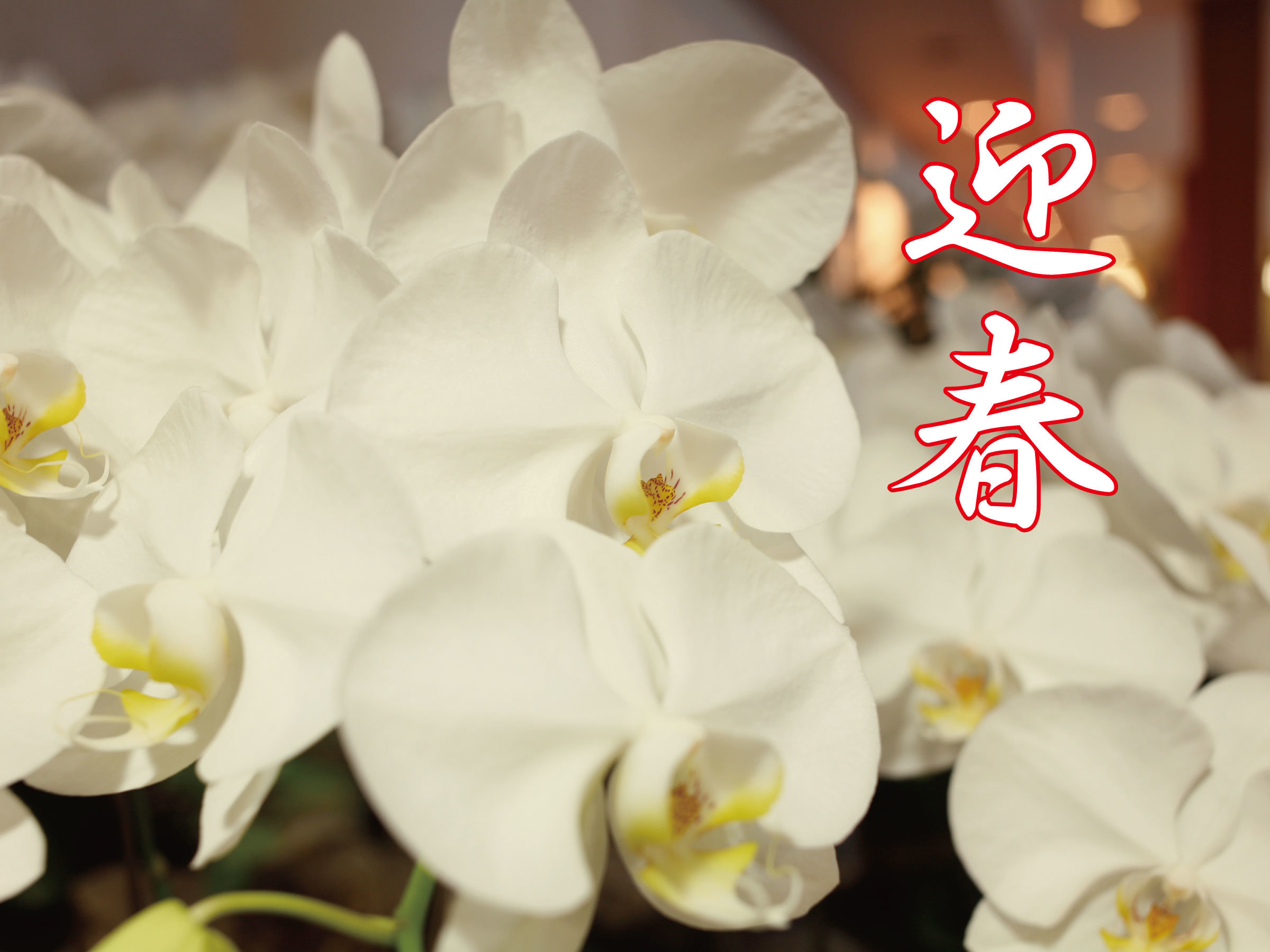    �ނ�ŐV�N�̂����A��\���グ�܂��B�ߘa���N�@���U 