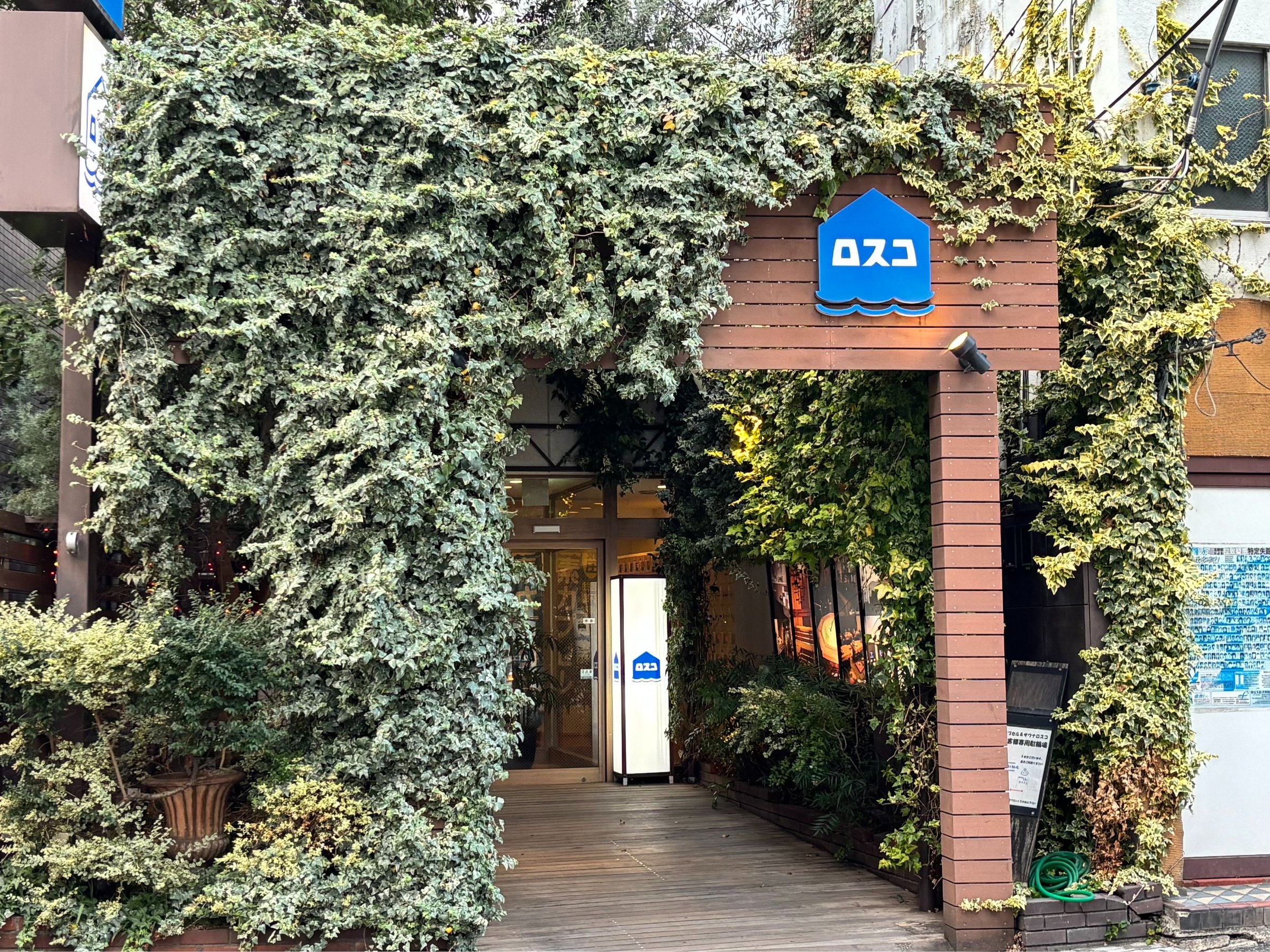 �V�܂̃��g���T�E�i�B�J�v�Z�����T�E�i���X�R