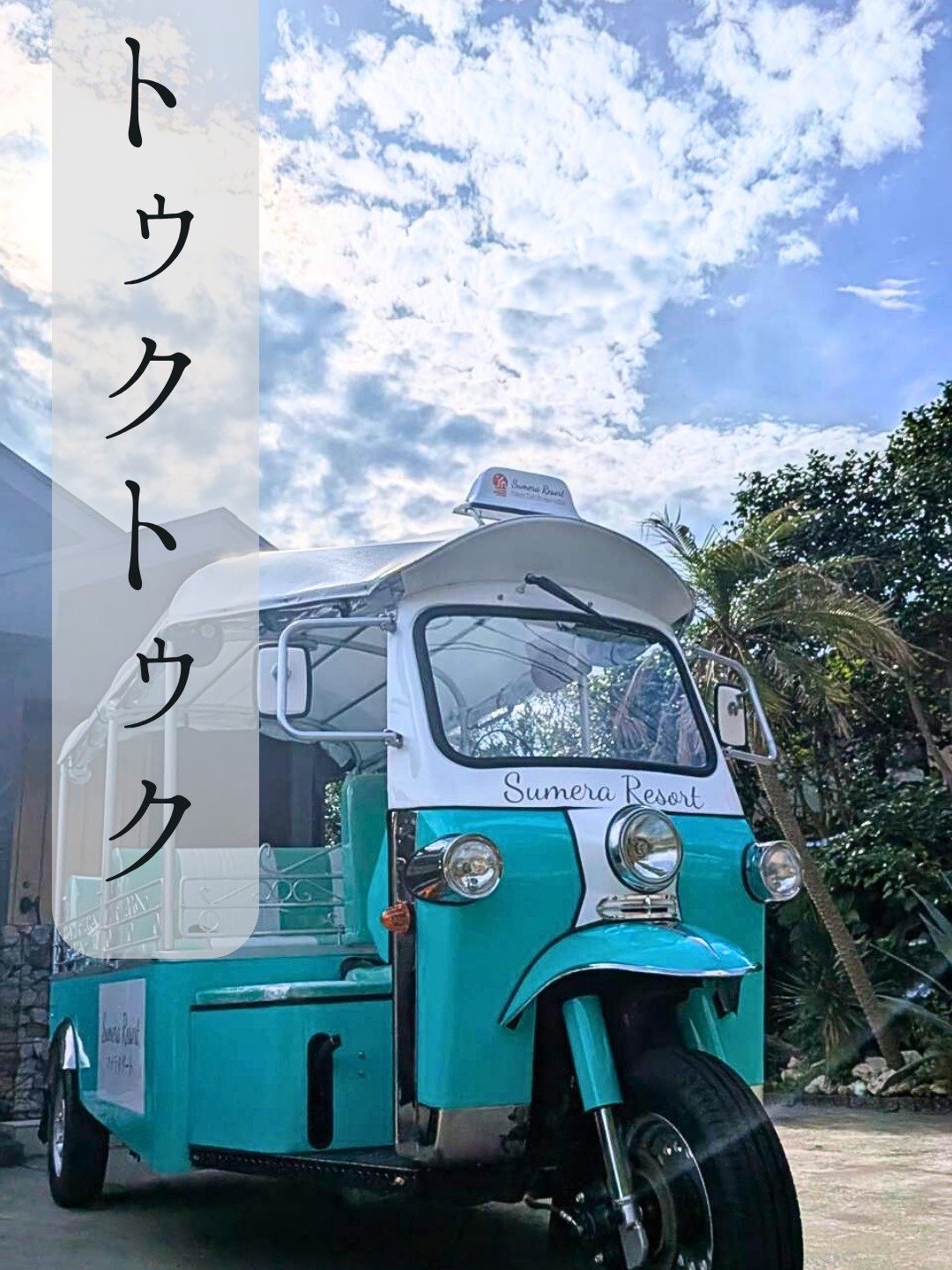 ���}��Sumera Resort �I���W�i���g�D�N�g�D�N�ł��}���Ɂ@�i�C�g�c�A�[����l�C�I