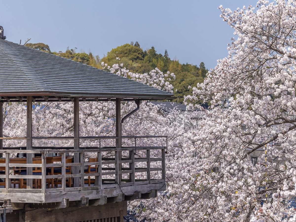 �܏\�����܂�͗�N3�����{�`4����{�J�×\��B�z�e������ԂŖ�25��