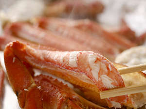 �J�j�̎|�����M���M���b�ƋÏk�I�Ă����Ă̏ăK�j��