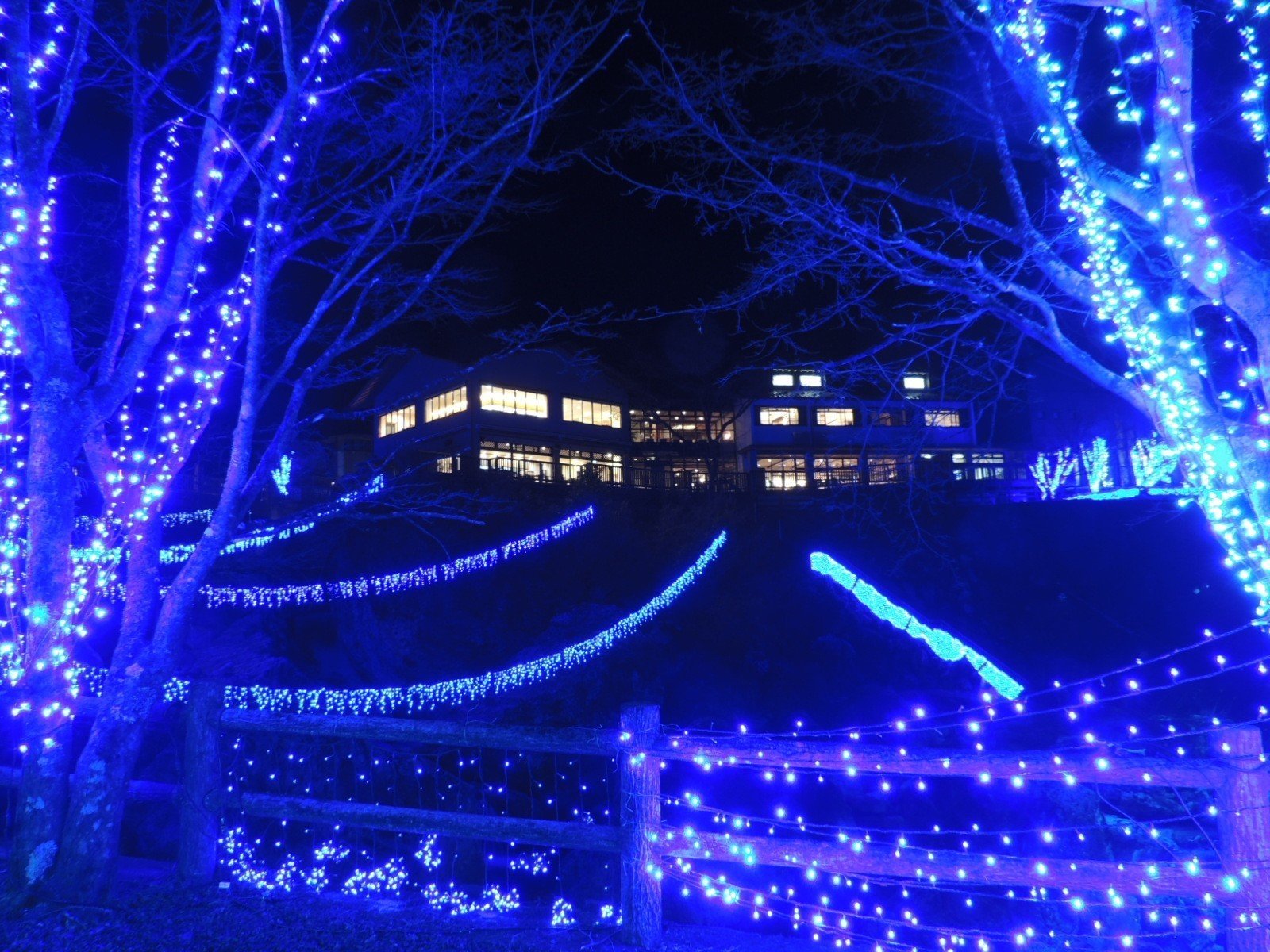 �m���u���[�t�F�X�^�@���N1���Q�����Q�����܂ŊJ��