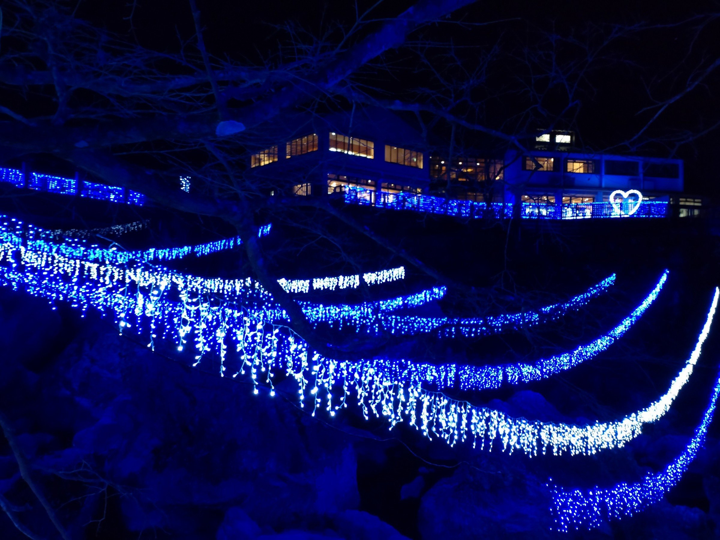 ���N1/2�`2�����܂ŊJ�Â����m���u���[�t�F�X�^