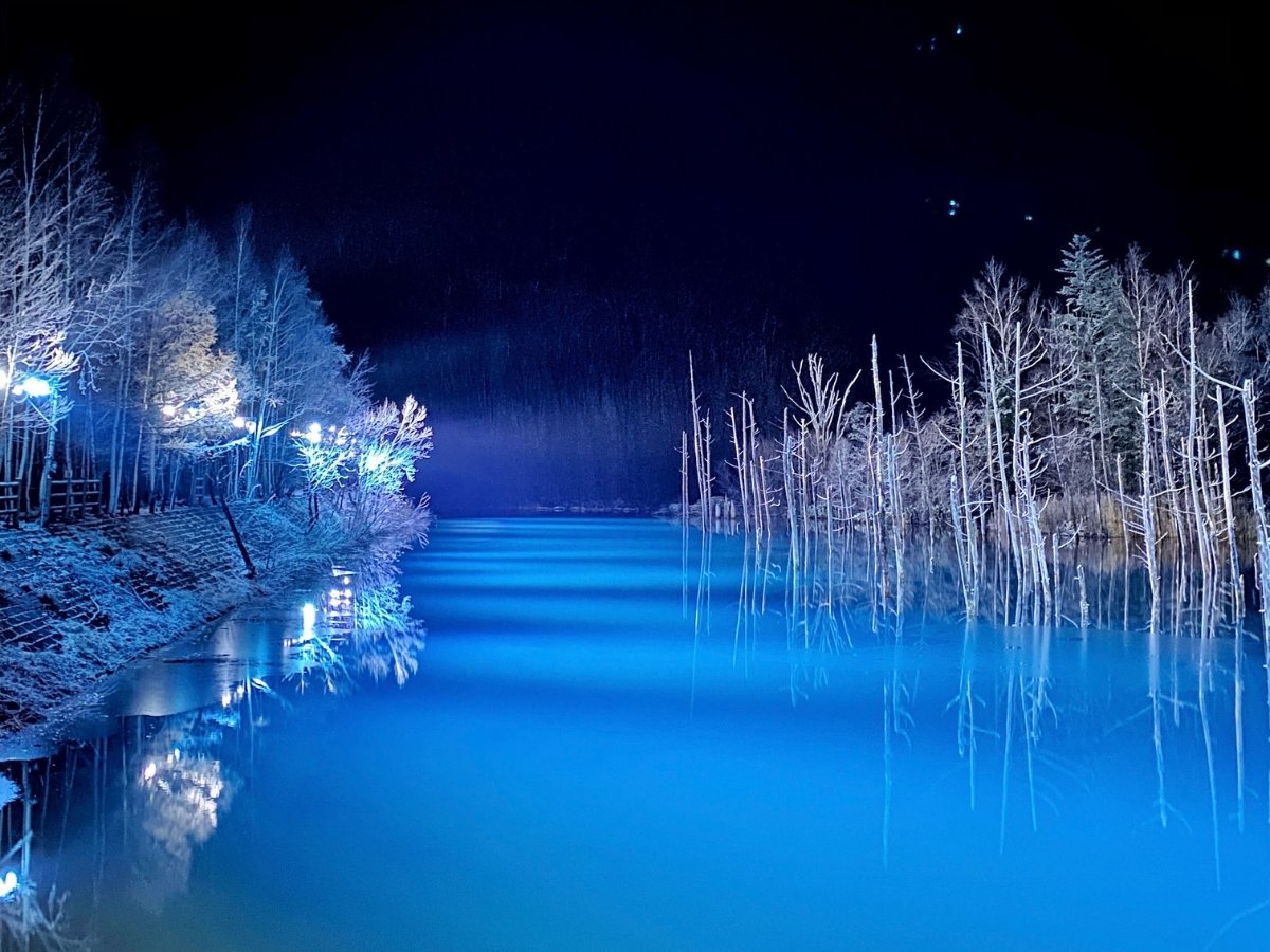 yrz~߂ÂA̐EL܂B