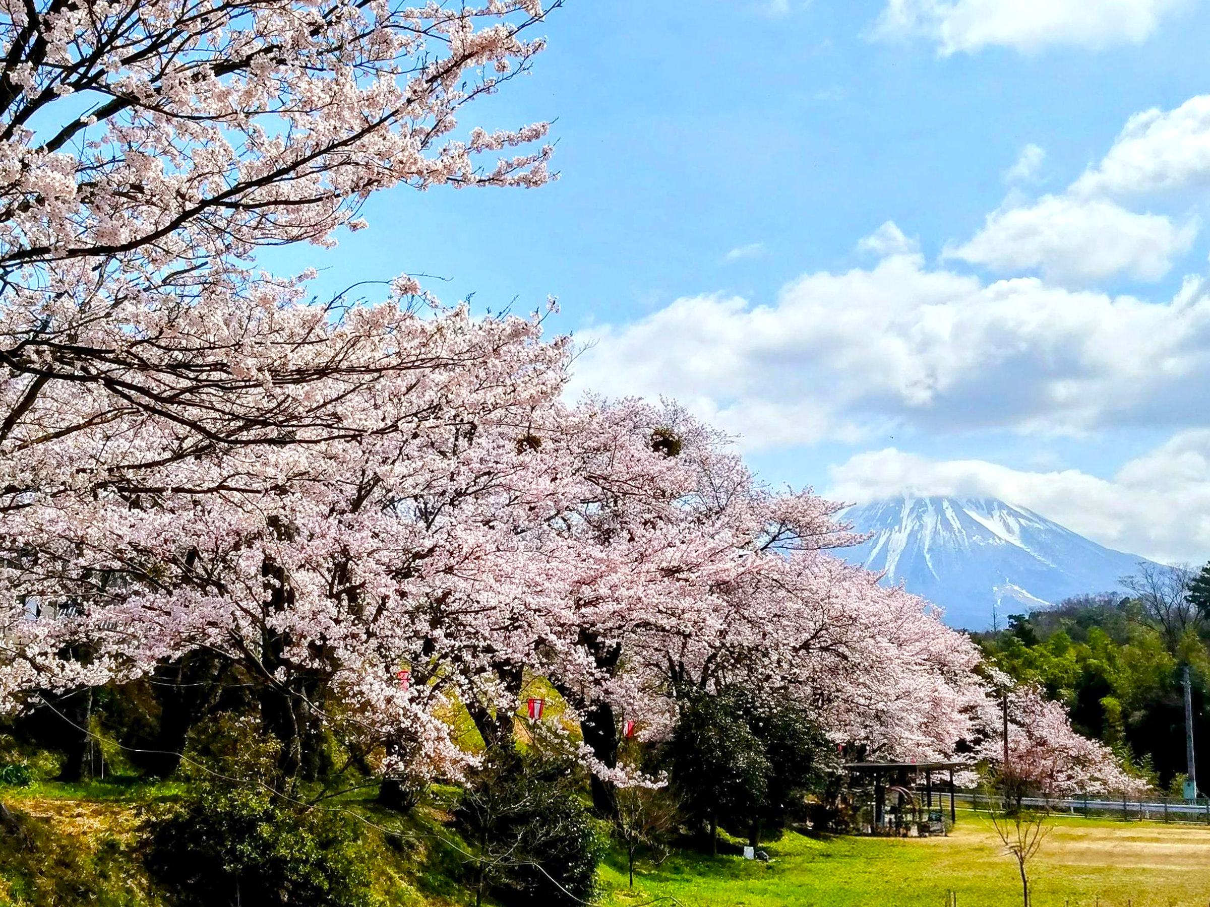 ��R�̍��@3�����{�`4����{