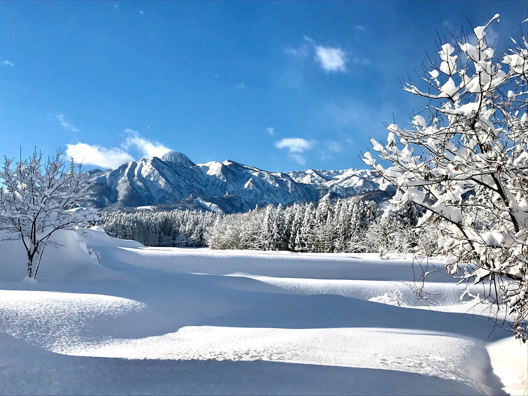 �y���ӁE�i�ρz�����̕��i