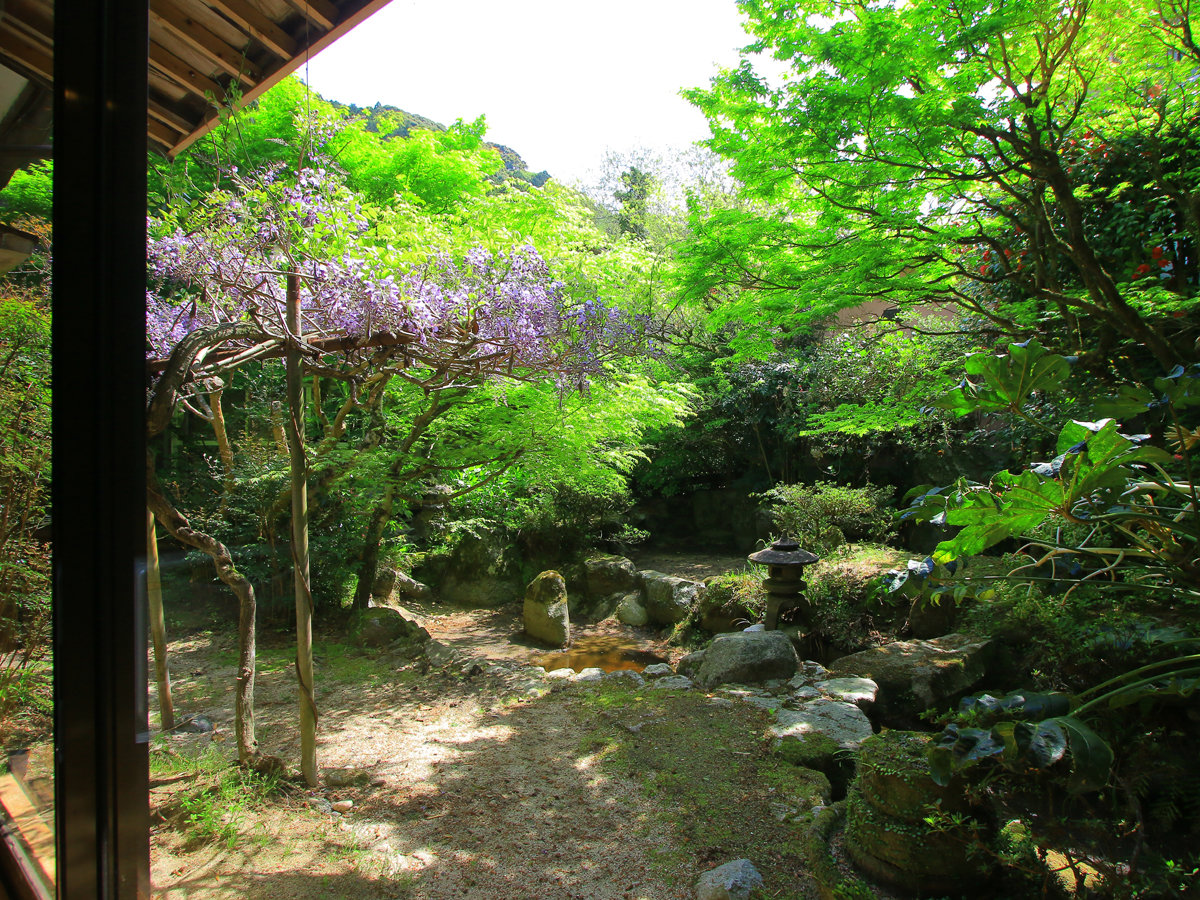 ���H����ꂩ�猩���钆��B�r�̐�������A����������邱�Ƃ��o���܂��B