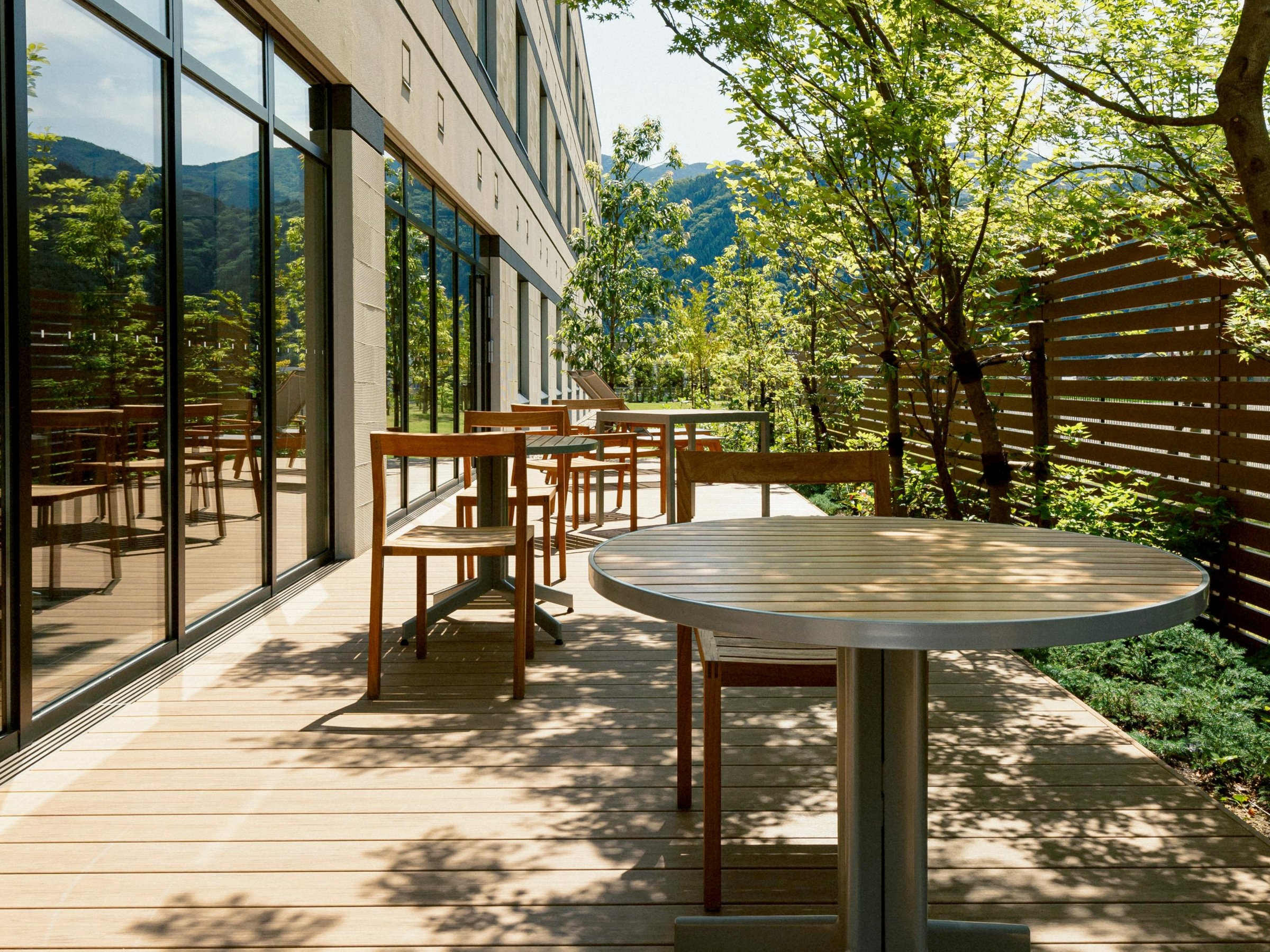 eXFVC̗ǂɂ͗ΈeXłB