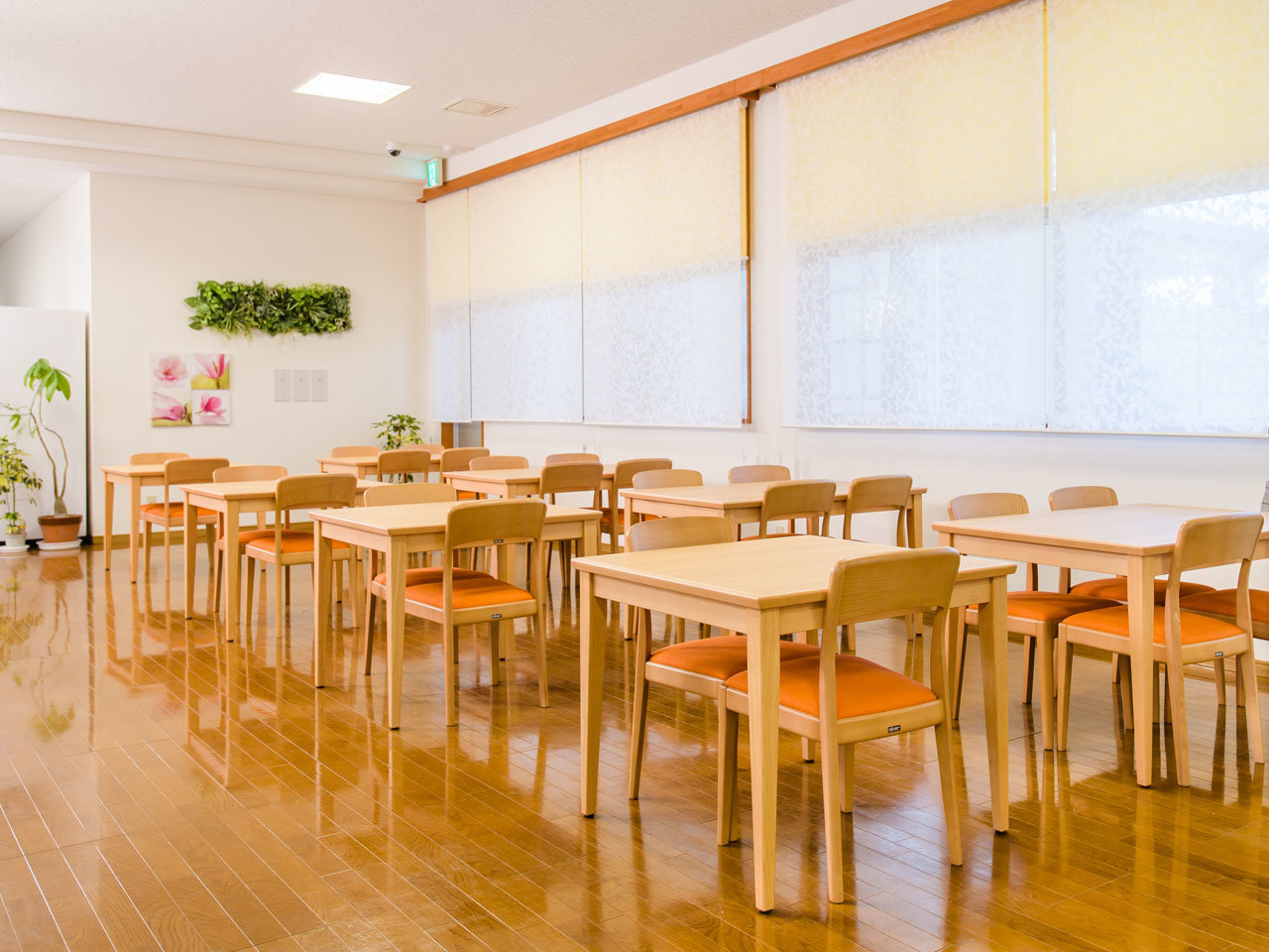 �����ʉ��� ���`GO�I�����X�g�����u�H���v