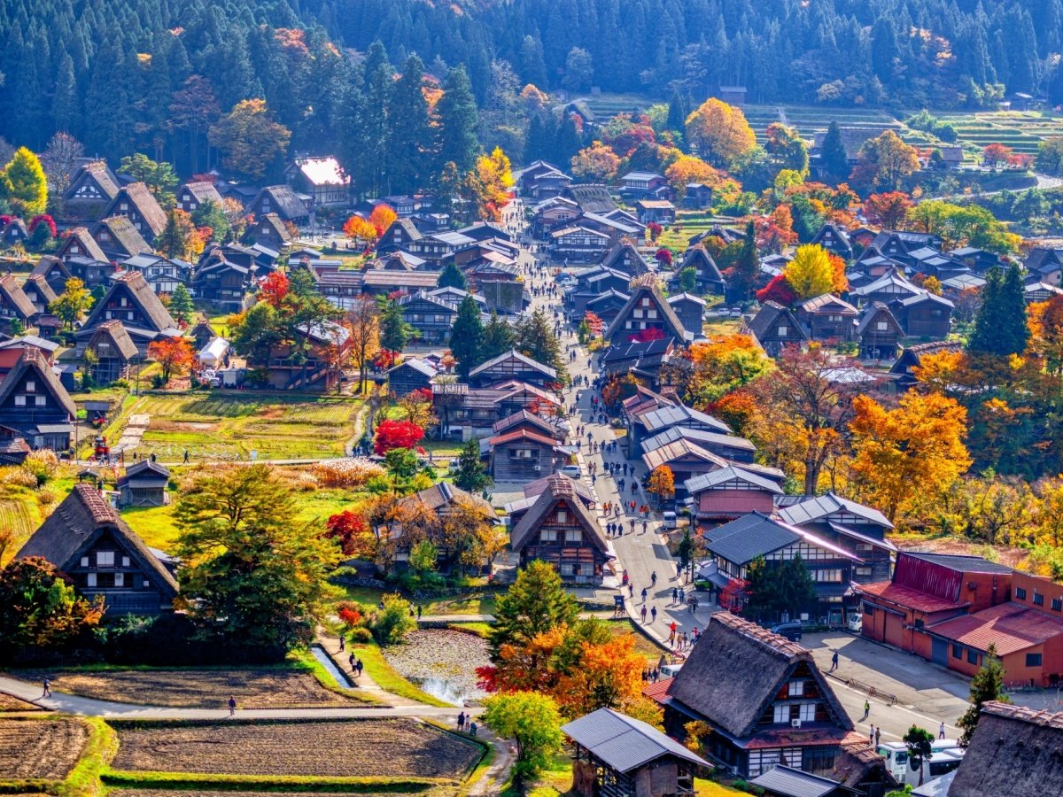 yӁzFN₩ȏH̔싽