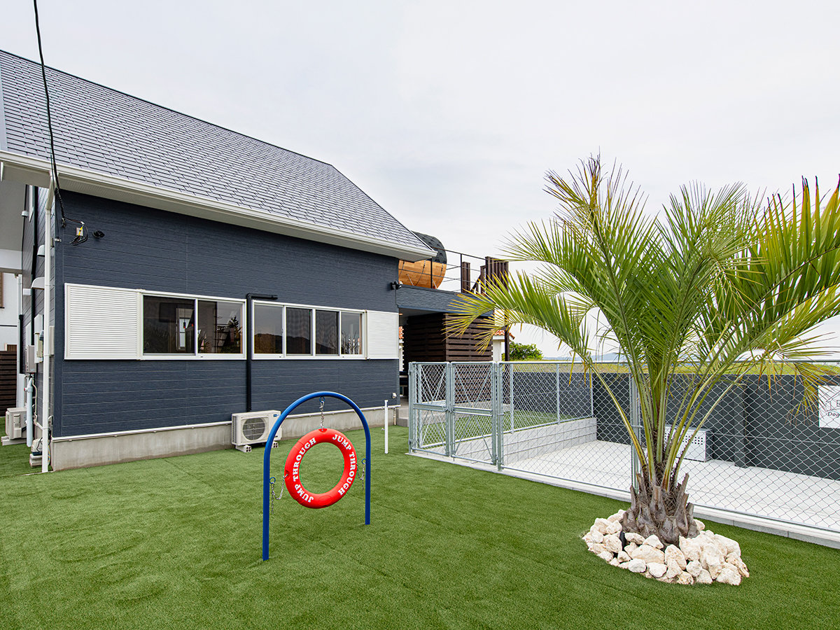 ���V�̖؂��f����J���I�ȃh�b�O����