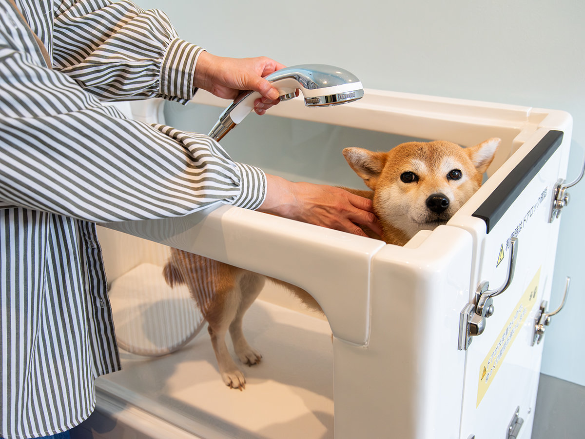 ���������������b�N�X�o�X�^�C��