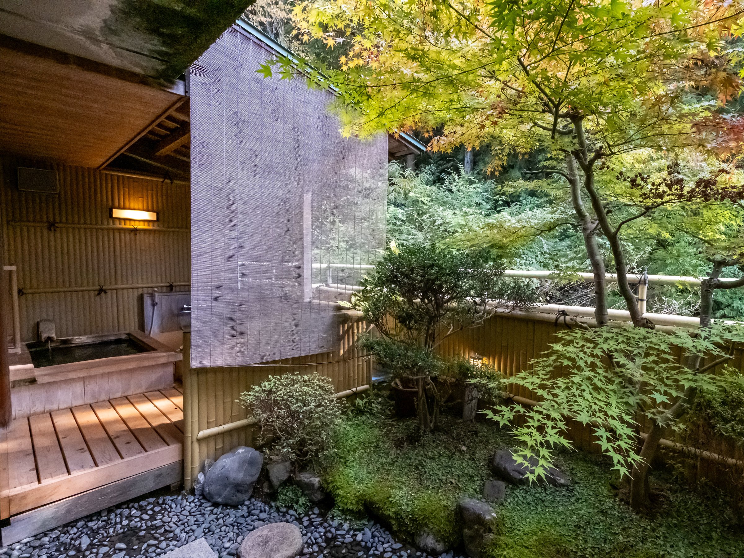 �I�V���C�t���a�� ����I�V