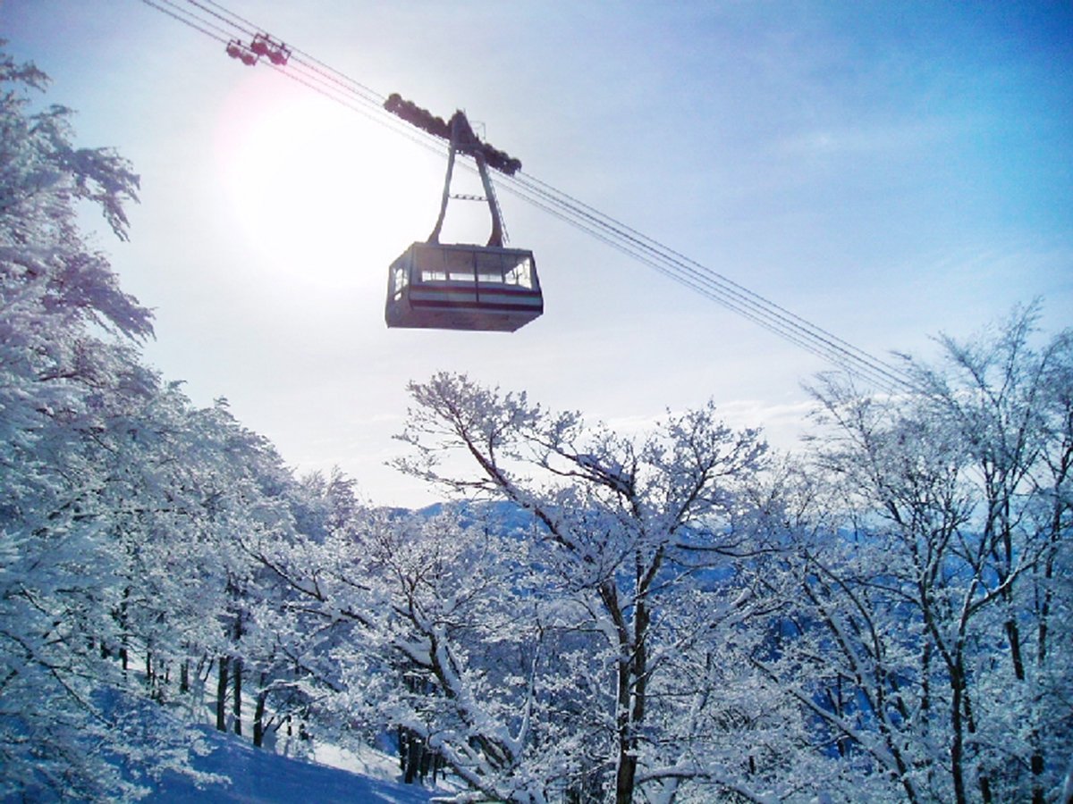 yӁz{݂ł̓XL[̃tgE[vEF[̔Ă܂BЂ߂