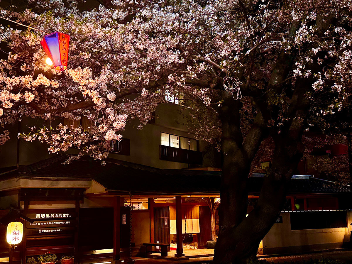 ��R�c���������̖��