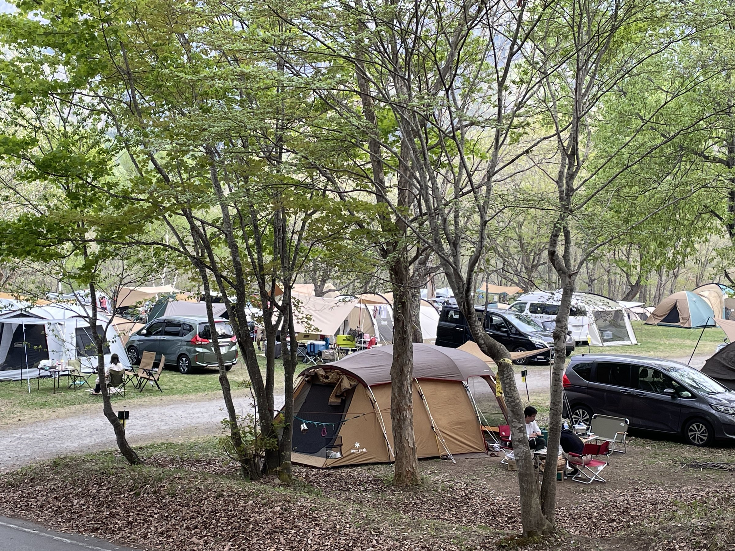 �I�[�g�T�C�gB���