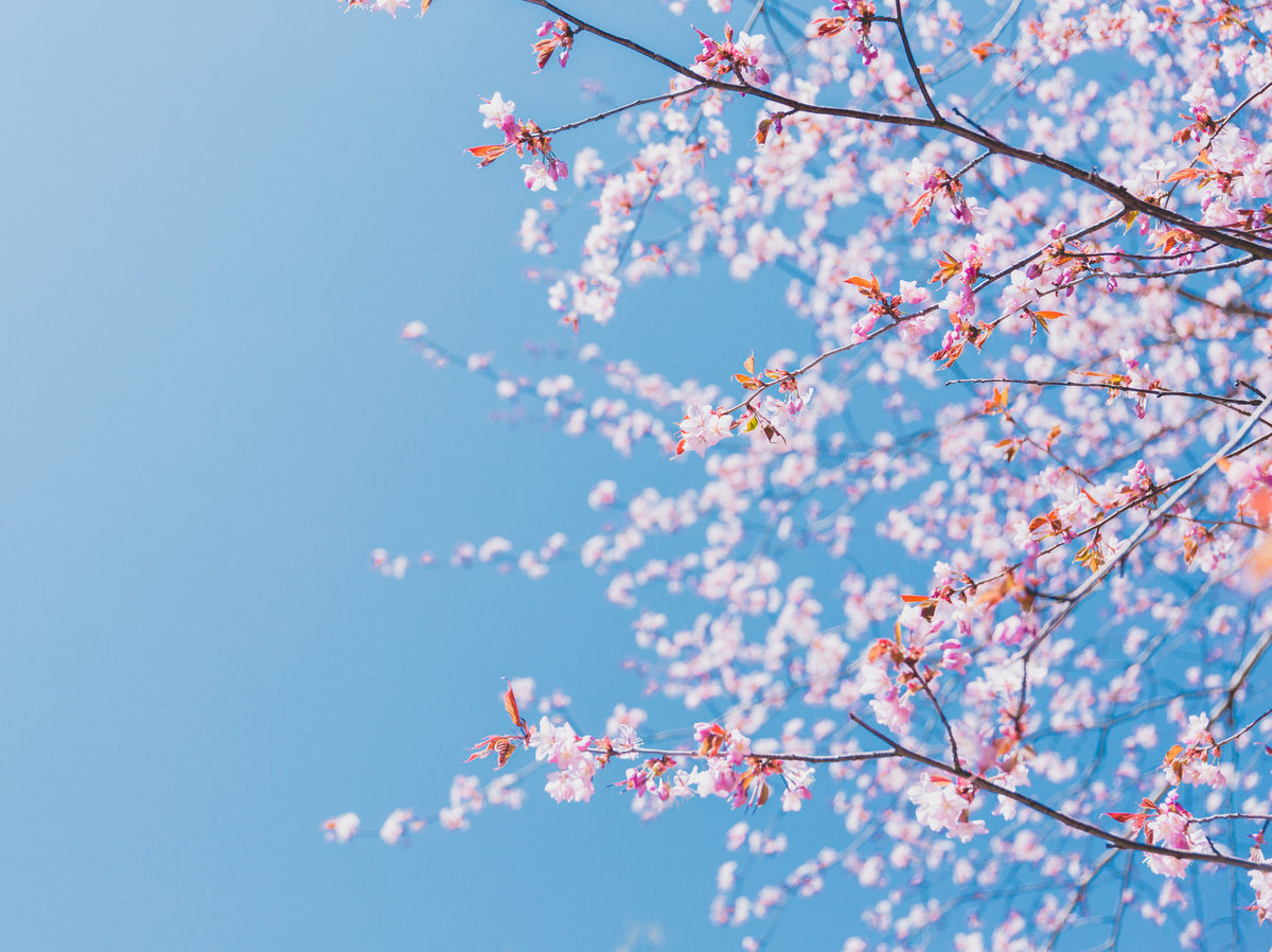 �y�뉀�z��