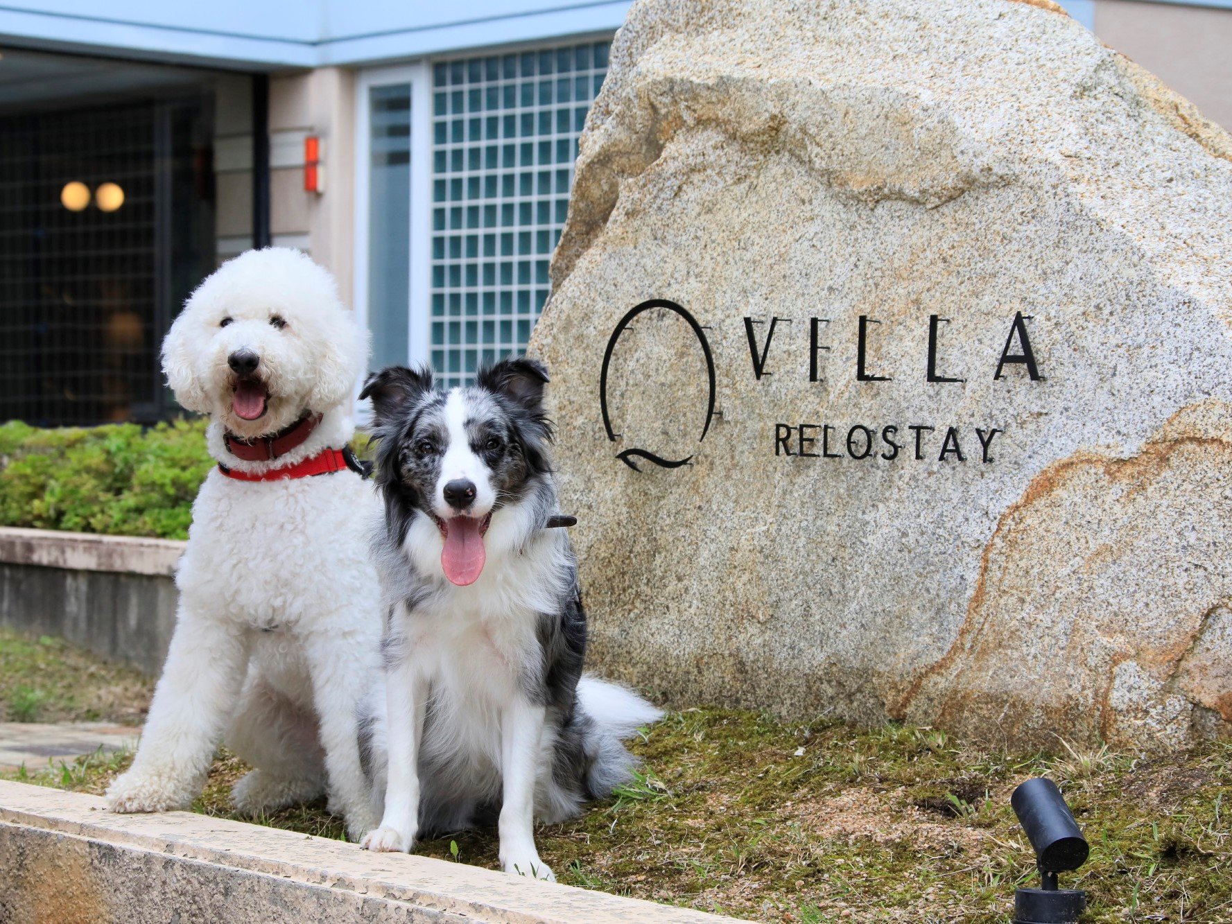 �悤�����u�����X�e�CVILLA���v�ցB