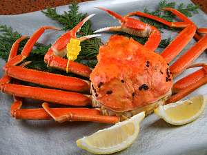 ��l���I�̐�i�I�z�O���ɂł��B�g�����X���M�b�V��