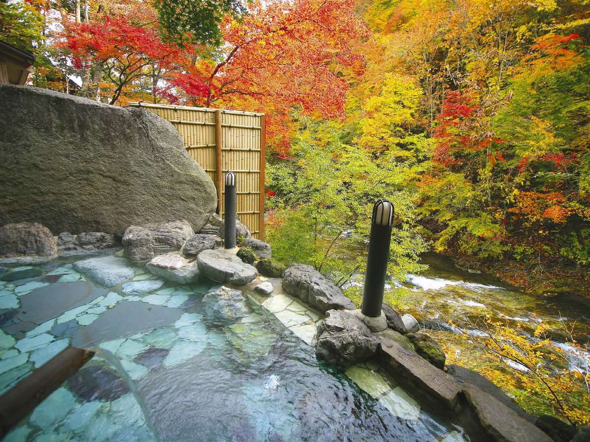 yIVCiȞiFj^߂Ɠ̍ijEjzH͔Rlȍgt𒭂߂Ȃ