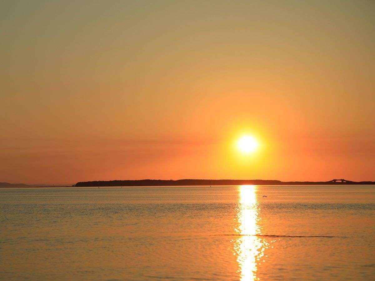 �y�T���}�΂̗[���i�t�`�H�j�z���ق��璭�߂鉩���̕��i�͂܂��ɐ�i�ł��B