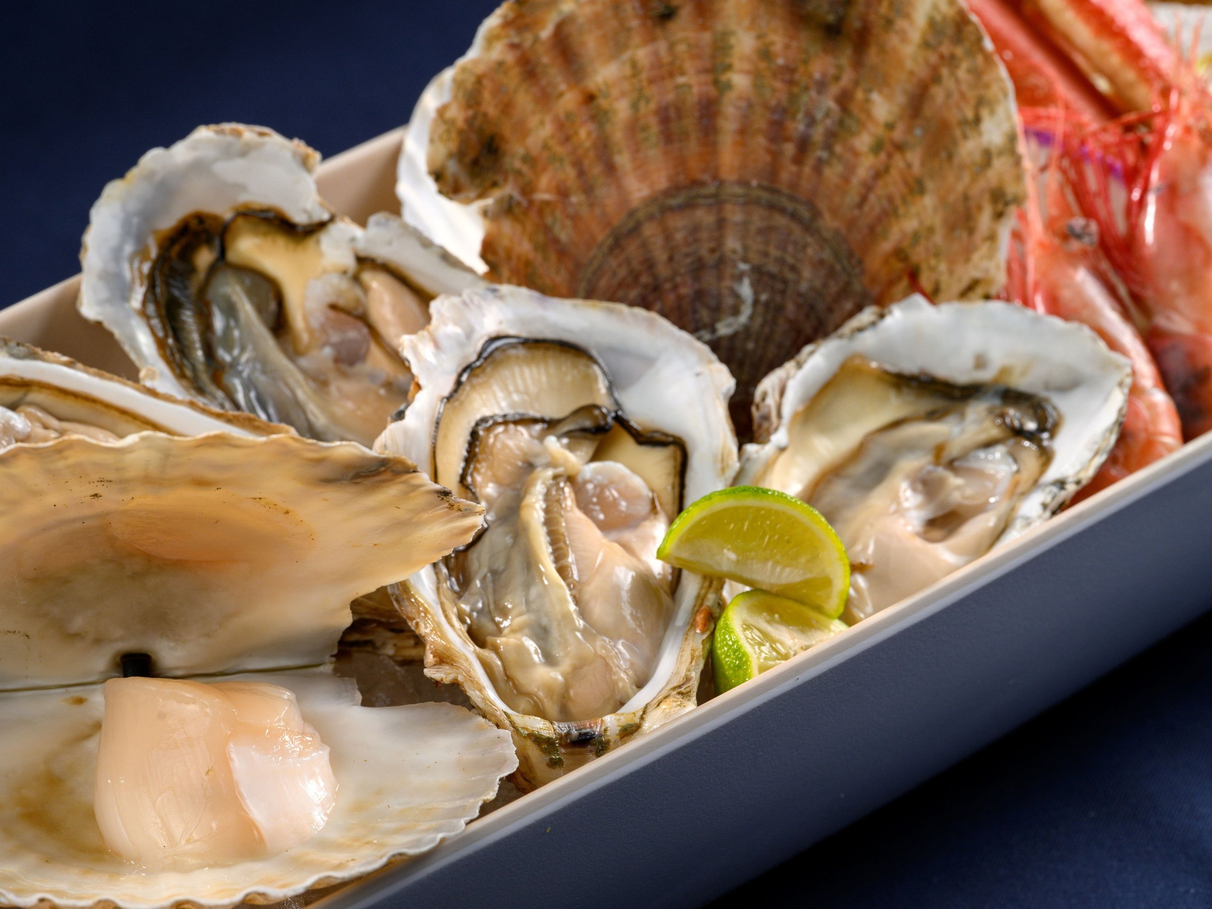 yoCLOzVFt؃CfBbVwG߂̊CN荇킹xi2lj