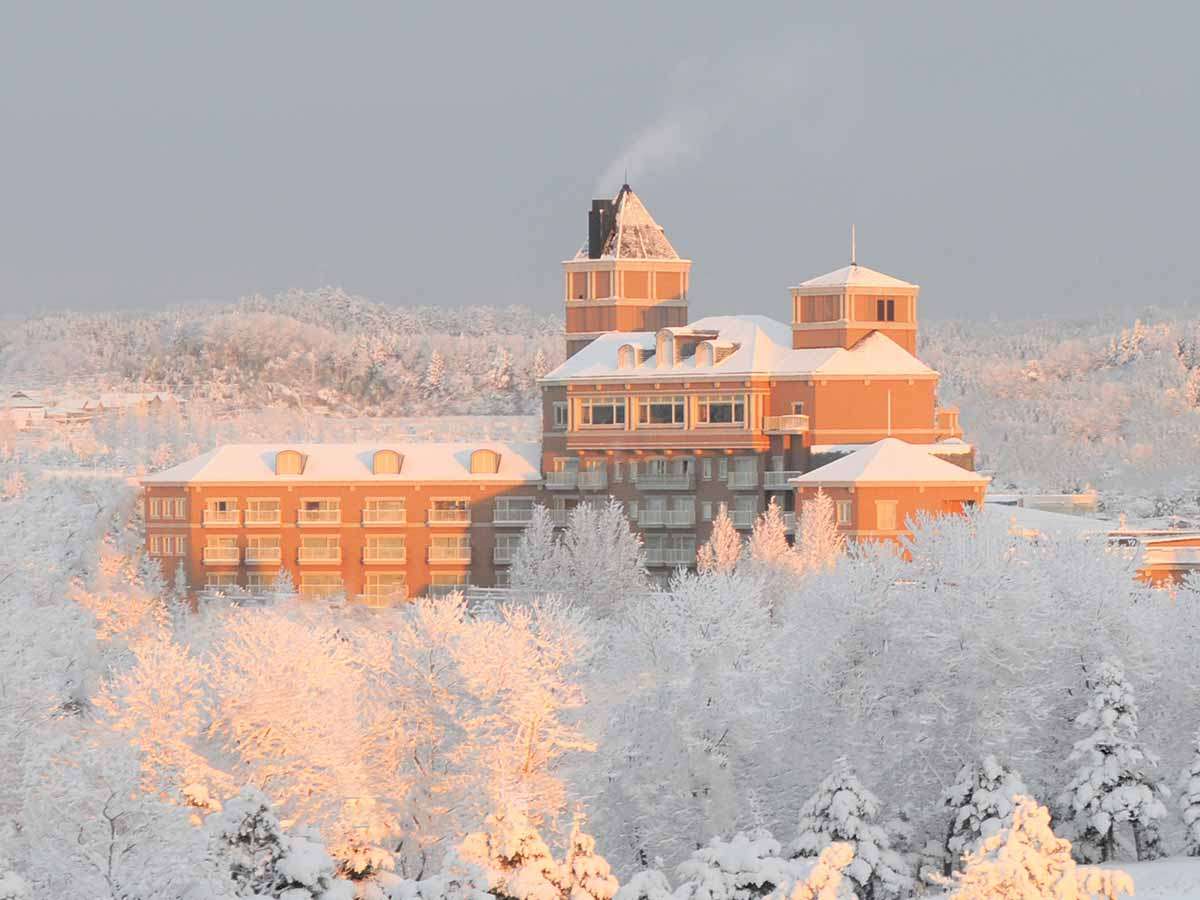 �y �~ �G �z��ɕ�܂ꂽ���̌��z�I�ȃz�e��