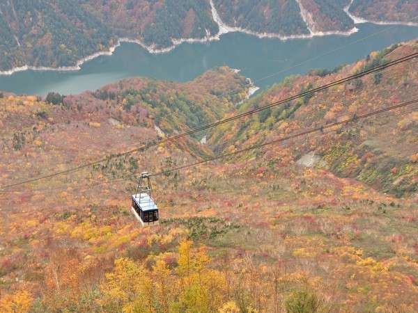 紅葉、立山ロープウェイと黒部湖