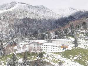 �����̓~�i�F