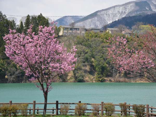 ���t�@�ԒJ�ΑΊ݂̗V��������]�ޑ��₵��