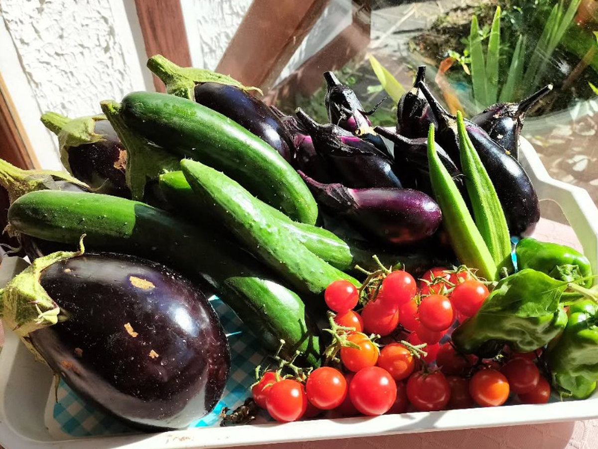 *ƍ͔|؁ijlꂽĂ̖؂g񋟂Ă܂