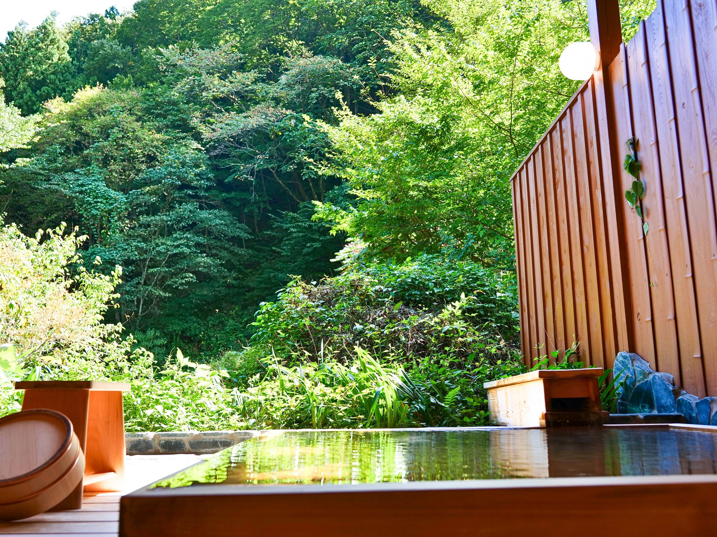 �R���I�V���C