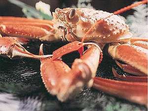 tɂ̖{IĎR`̑D̃^Otuh䥂ł