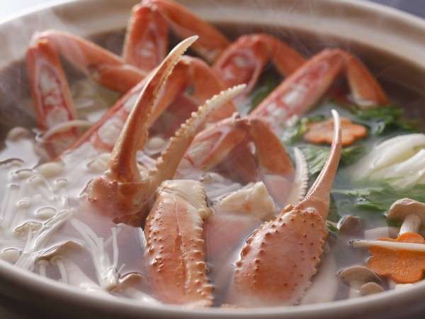 ���ɓ�B���Ɛ��|���|�ł��������B