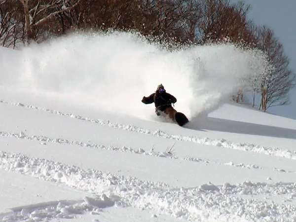 ���E�I�ɗL���ȃj�Z�R�̃p�E�_�[�X�m�[�B���オ��p�E�_�[�X�m�[�������̐l�𖣗����܂��B