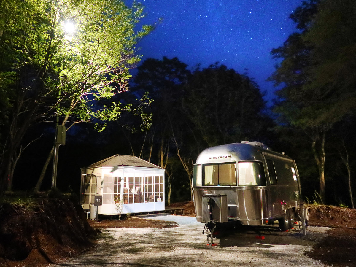 �g���[���[�Ɩ�i