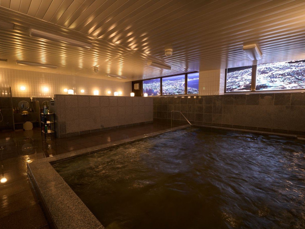 �ܗŊs�i�ق��j�̓��@�嗁��y�j�q�z