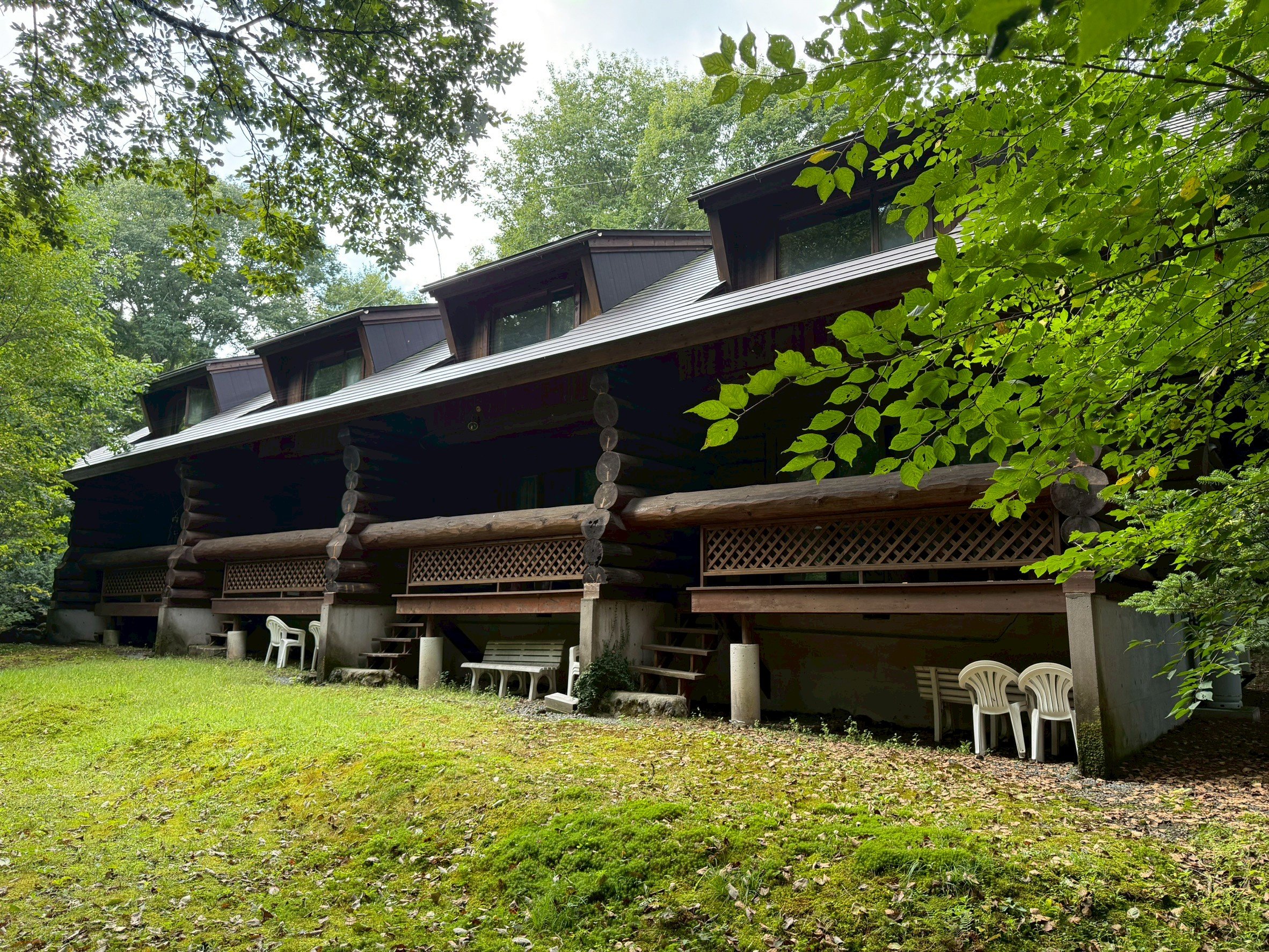 �΂Ɉ͂܂ꂽ�S�A��