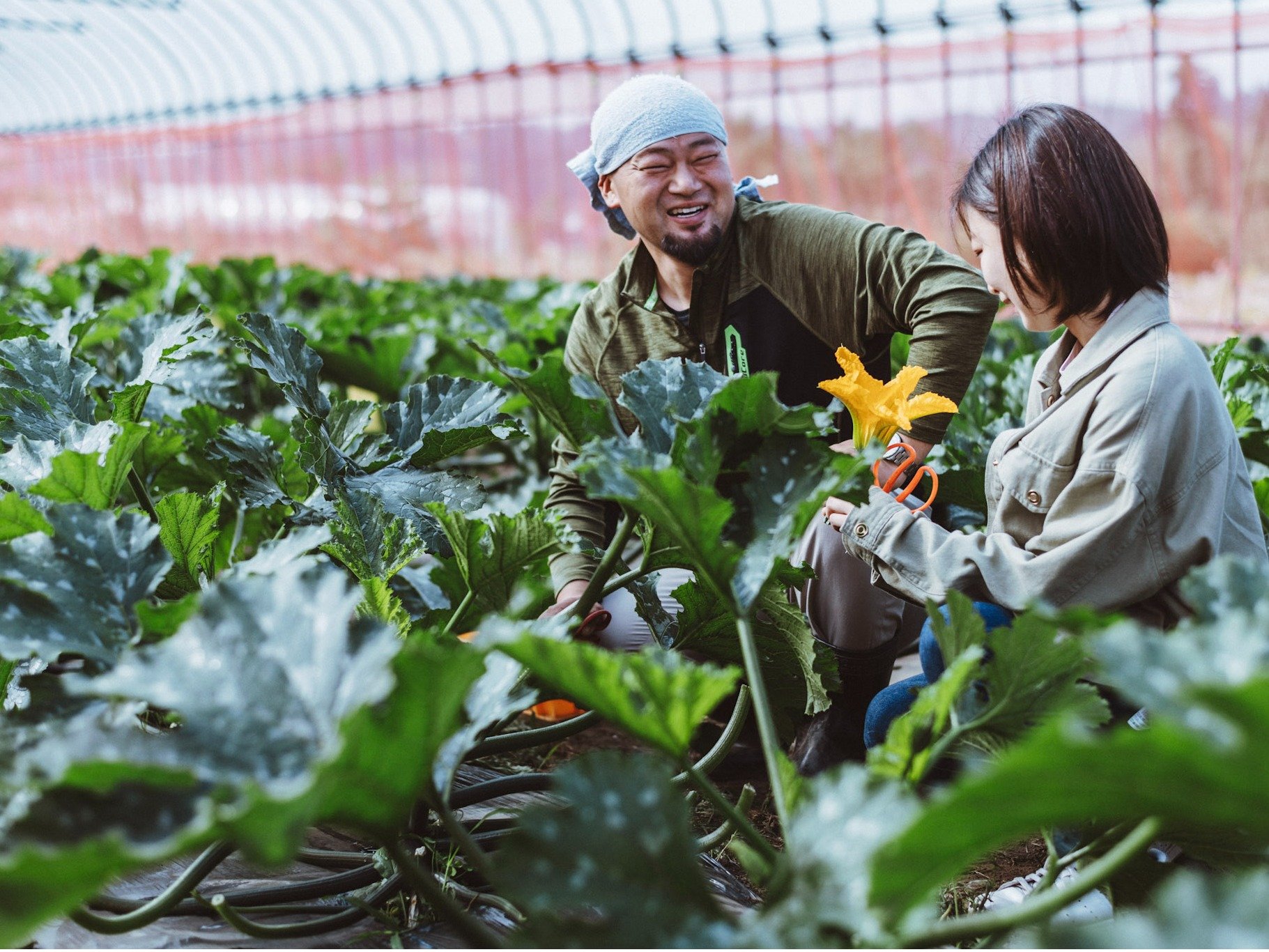 ň(IvV)ł́AG߂Ə{̖؂ɐǦł܂B